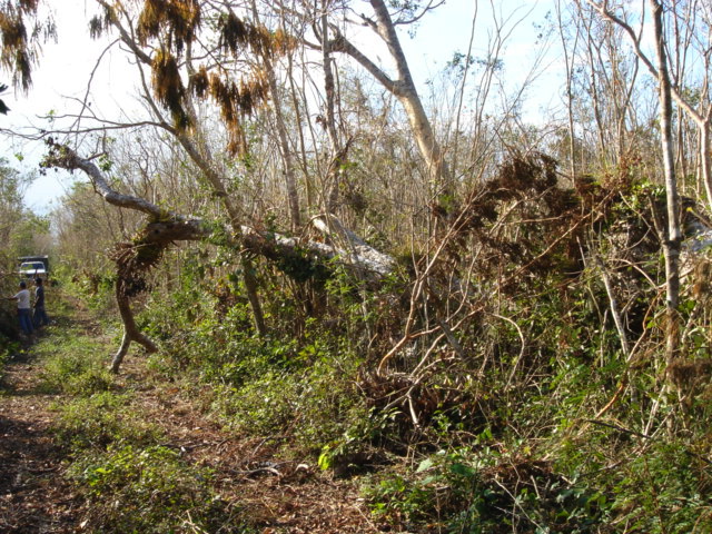 dsc00518.jpg